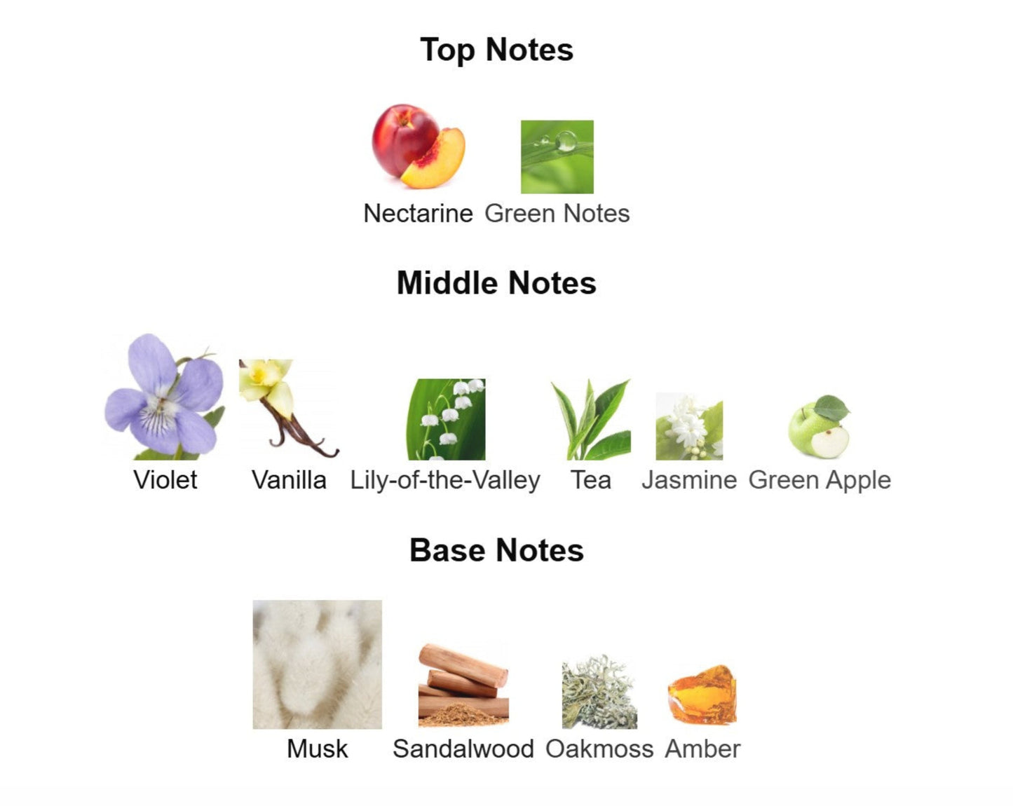 Penhaligon's Artemisia - Unbranded Perfume Decant