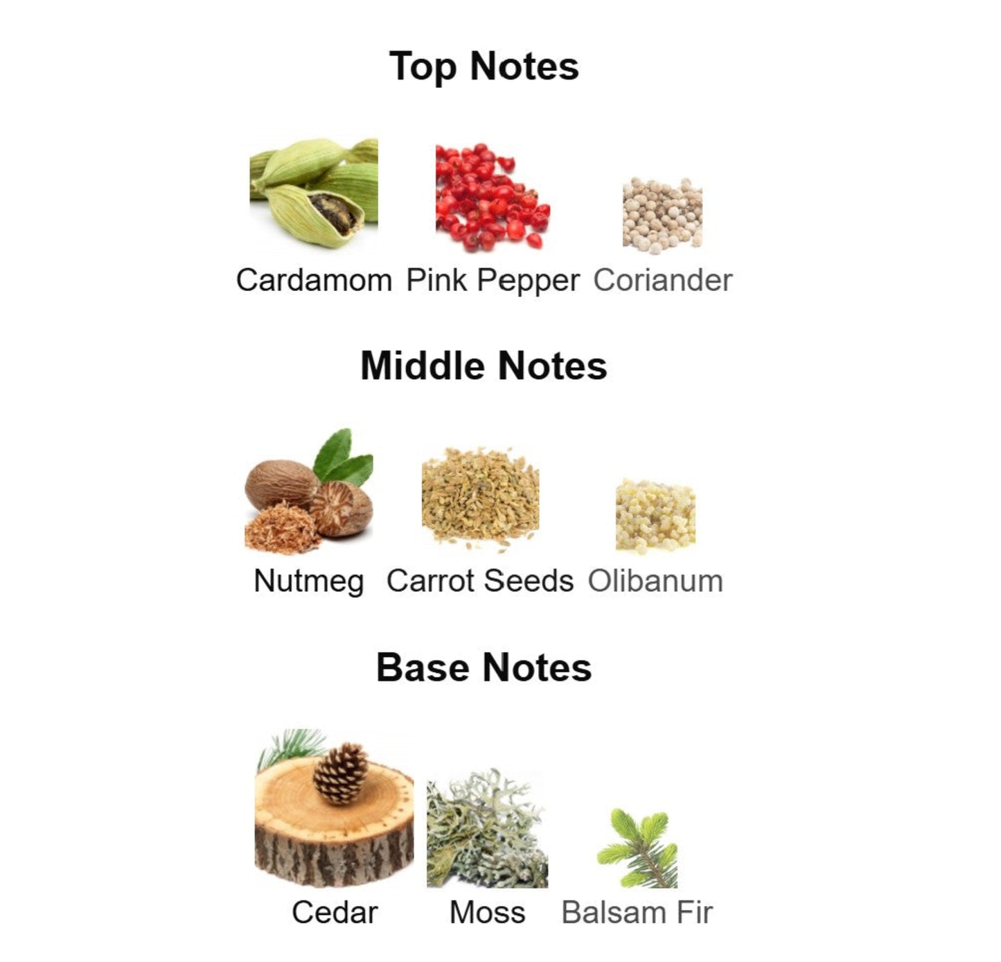 Maison Margeila Replica Autumn Vibes - Unbranded Perfume Decant