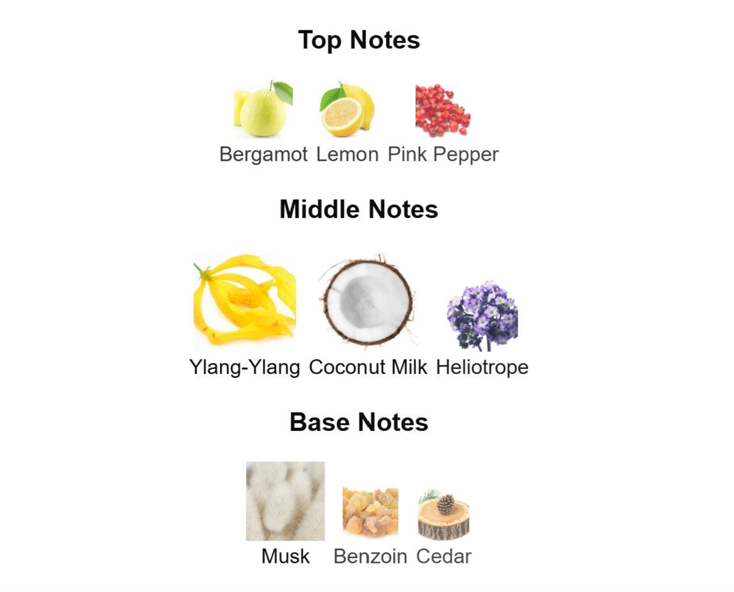 Maison Margeila Replica Beach Walk - Unbranded Perfume Decant