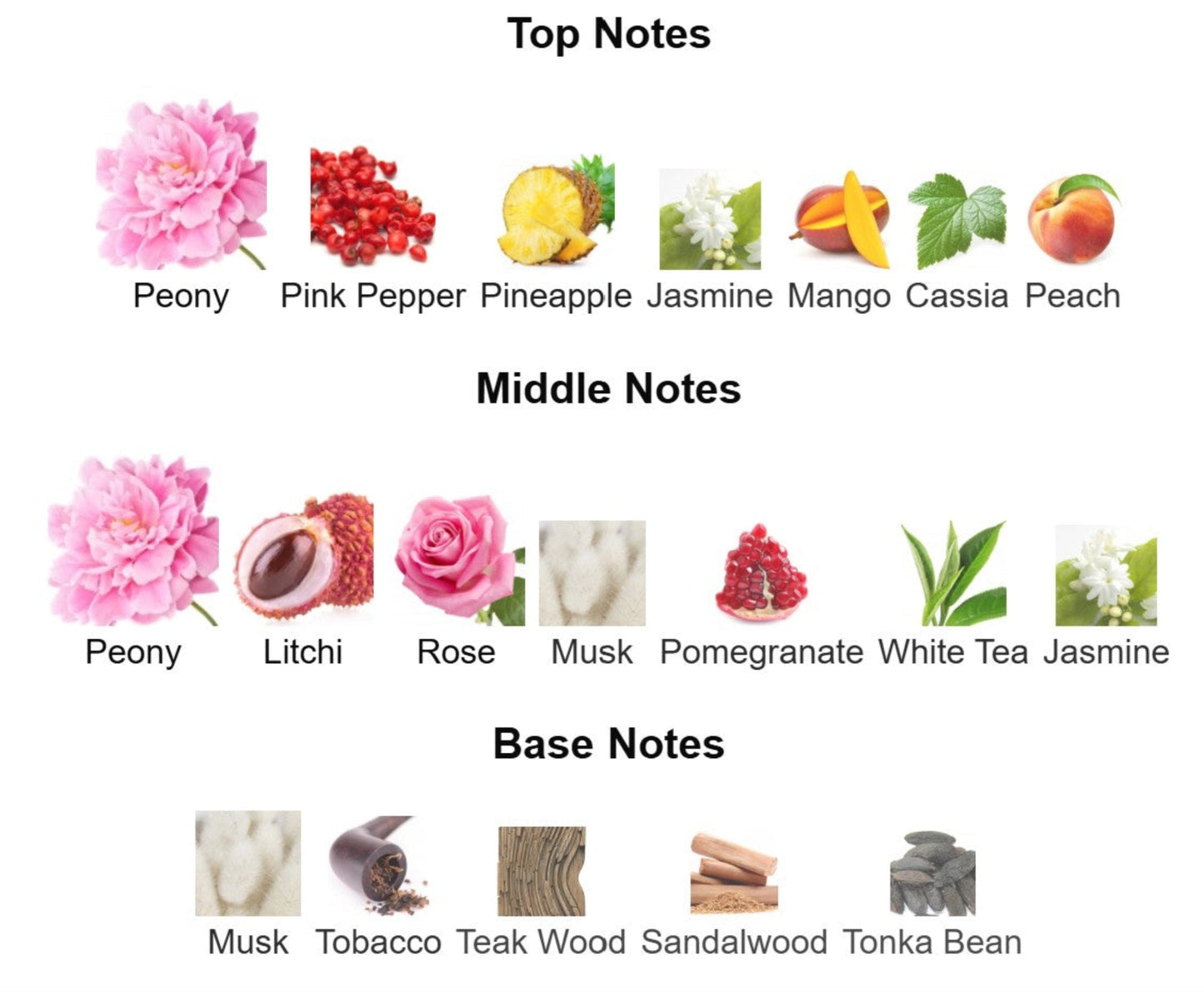 Gucci Envy Me - Unbranded Perfume Decant