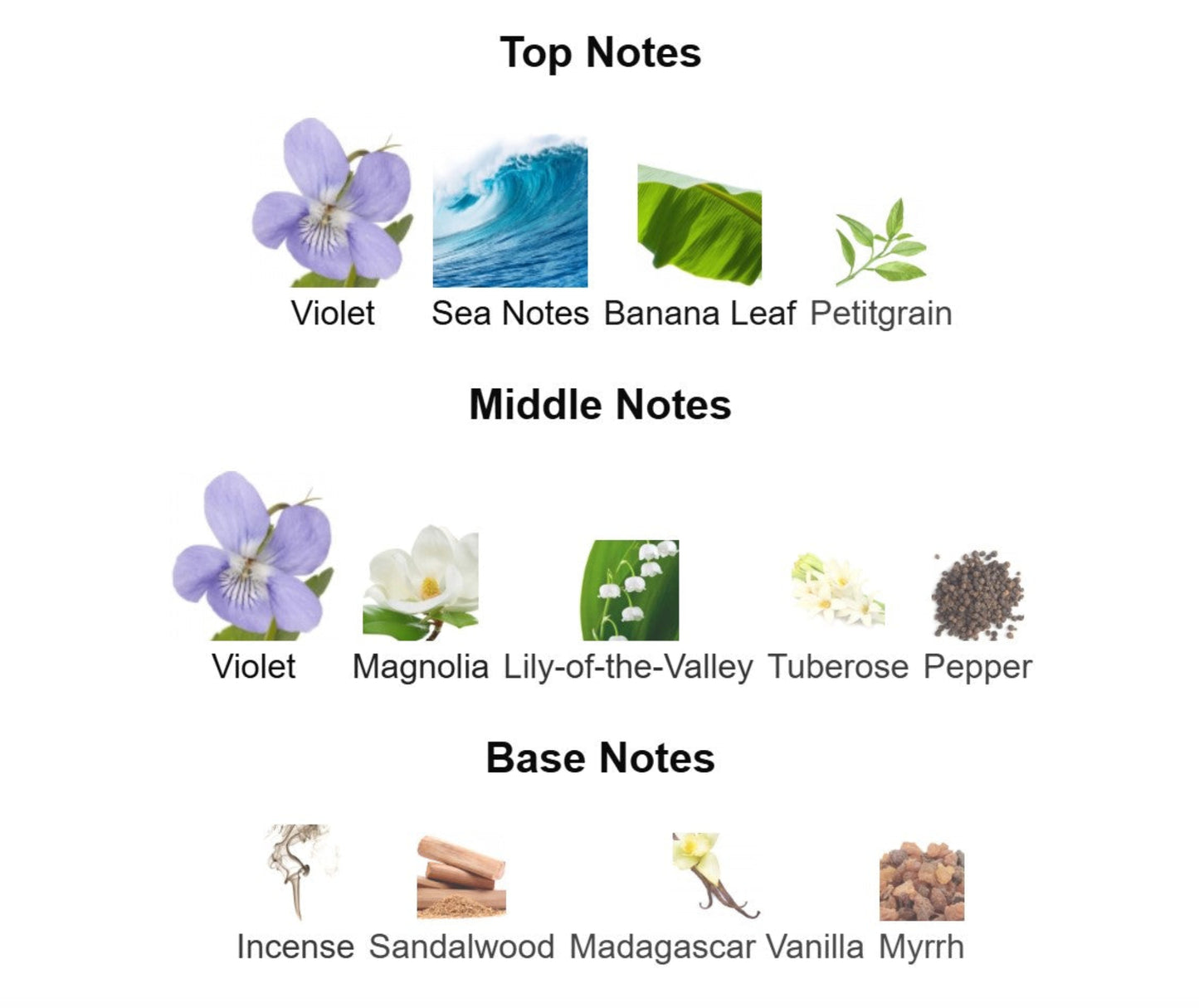 Halloween Halloween Eau de Toilette - Unbranded Perfume Decant