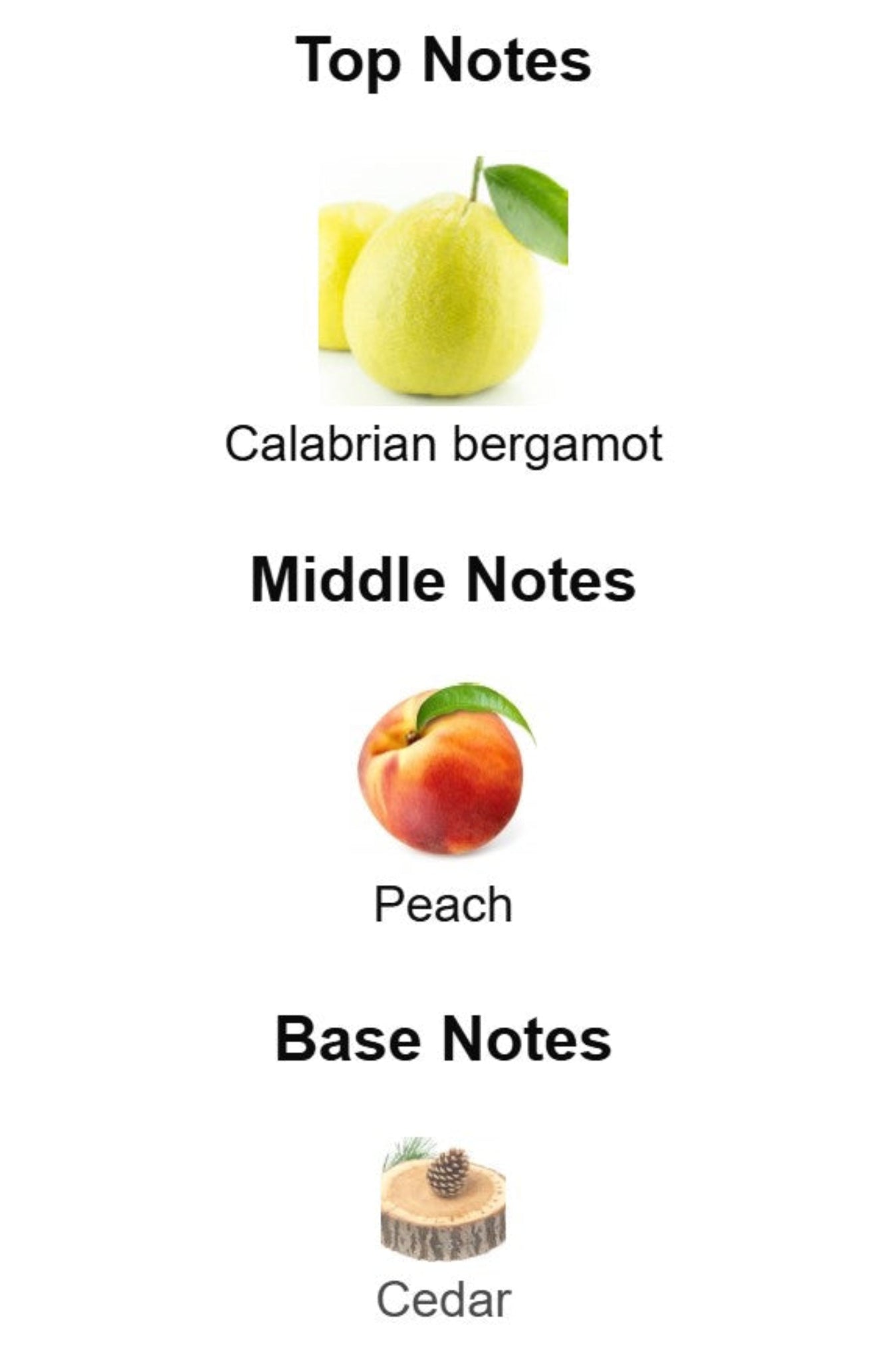 Dolce & Gabbana Light Blue Summer Vibes - Unbranded Perfume Decant