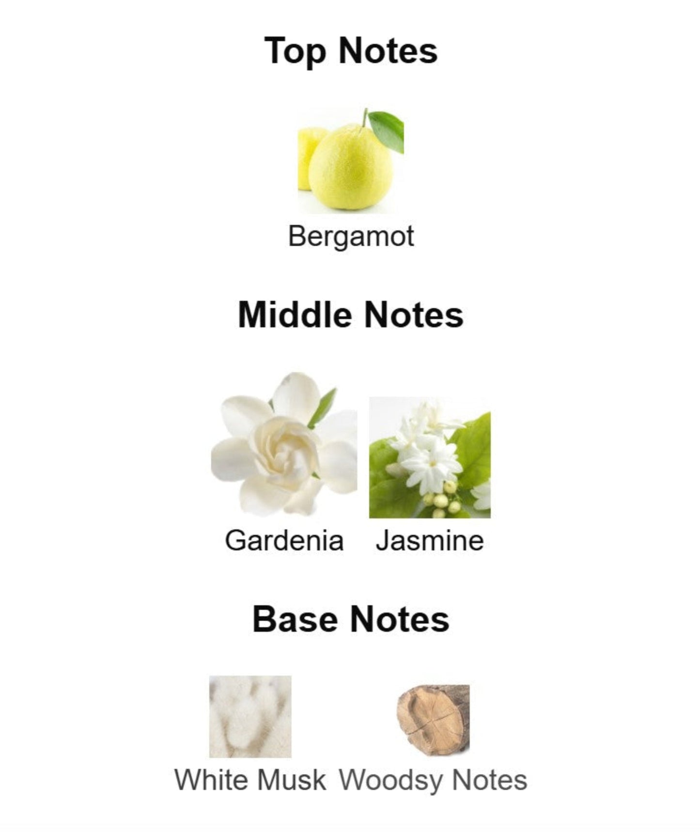 Armani Light di Gioia - Unbranded Perfume Decants