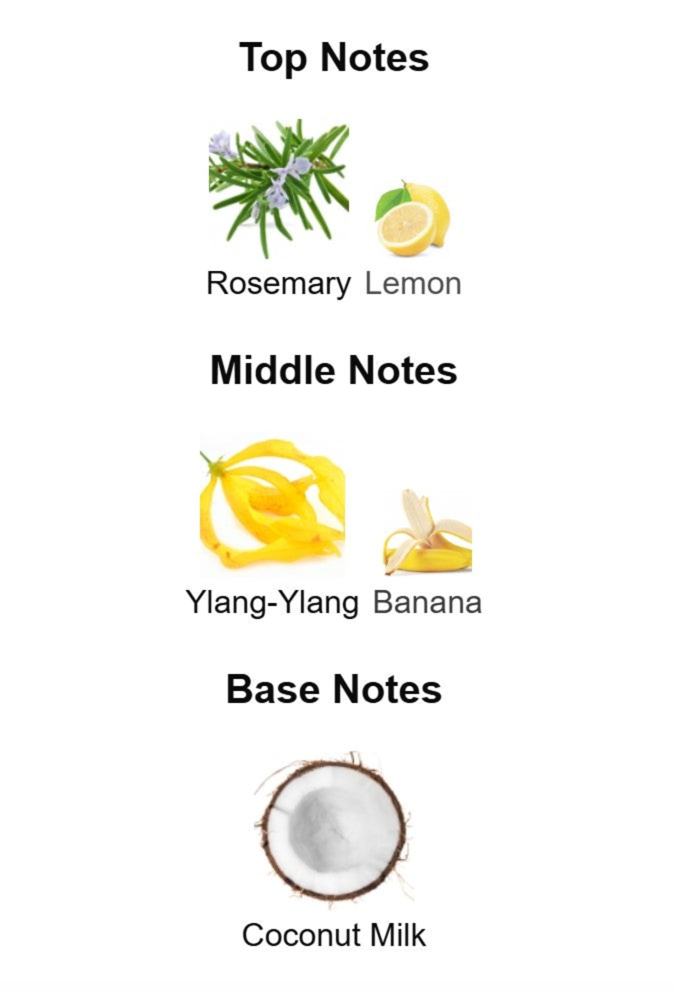 Kayali Maldives in a Bottle Ylang Coco 20 - Unbranded Perfume Decant