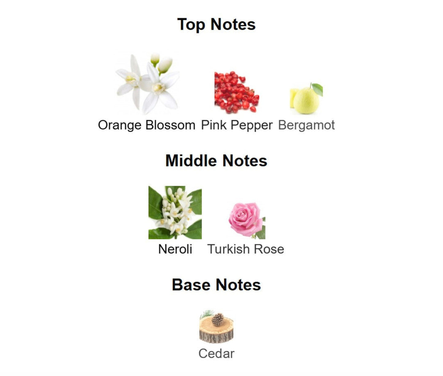 Kayali Marrakesh in a Bottle Orange Blossom 24 - Unbranded Perfume Decant