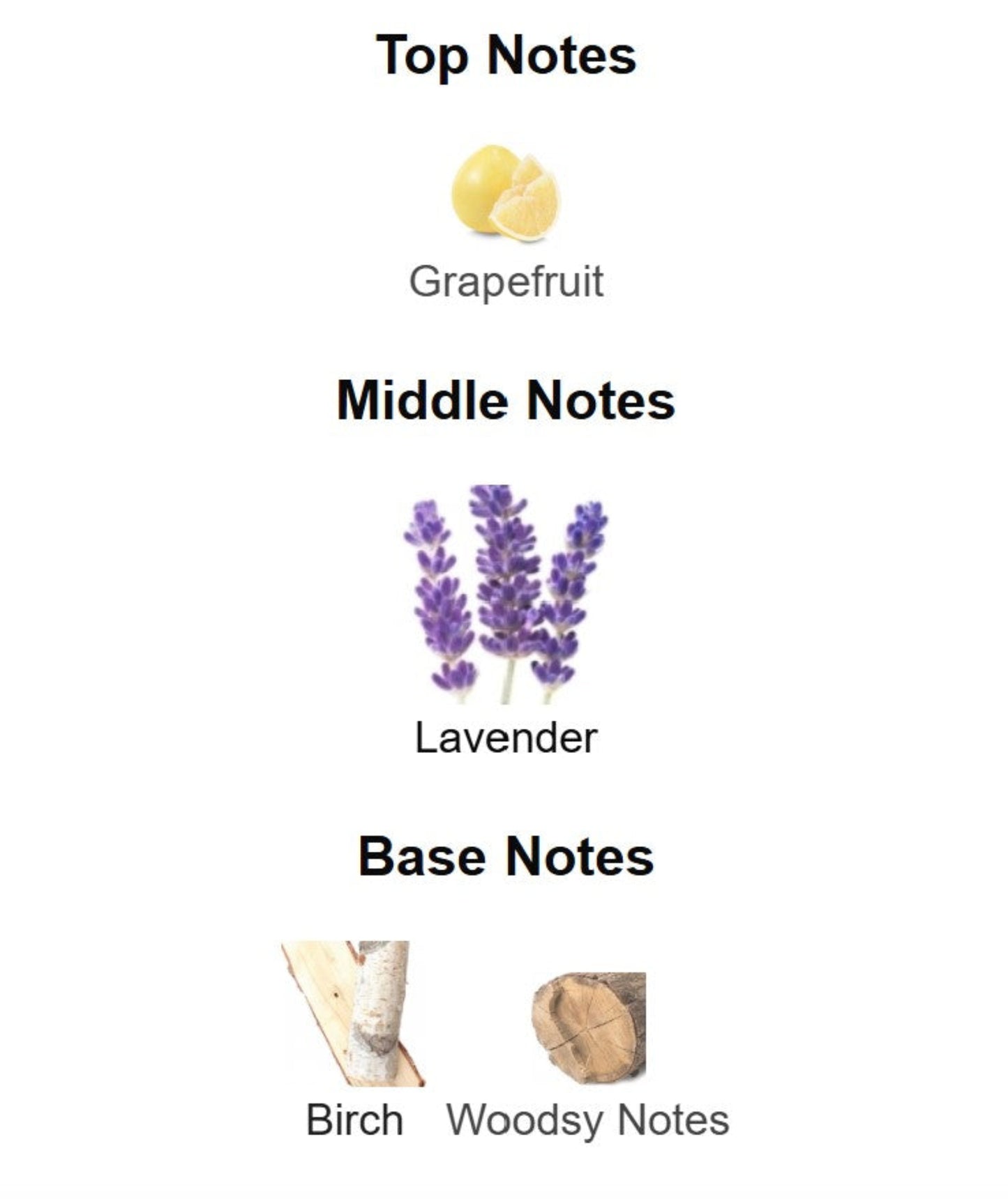 Jo Malone London Silver Birch & Lavender - Unbranded Perfume Decant