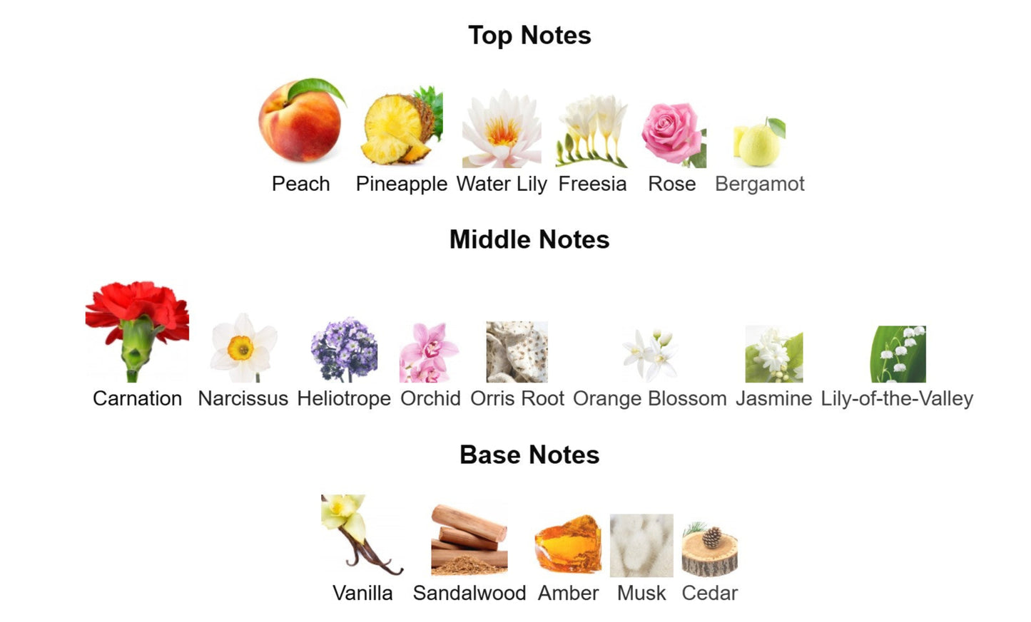 Karl Lagerfeld Sun Moon Stars Eau de Toilette - Unbranded Perfume Decant