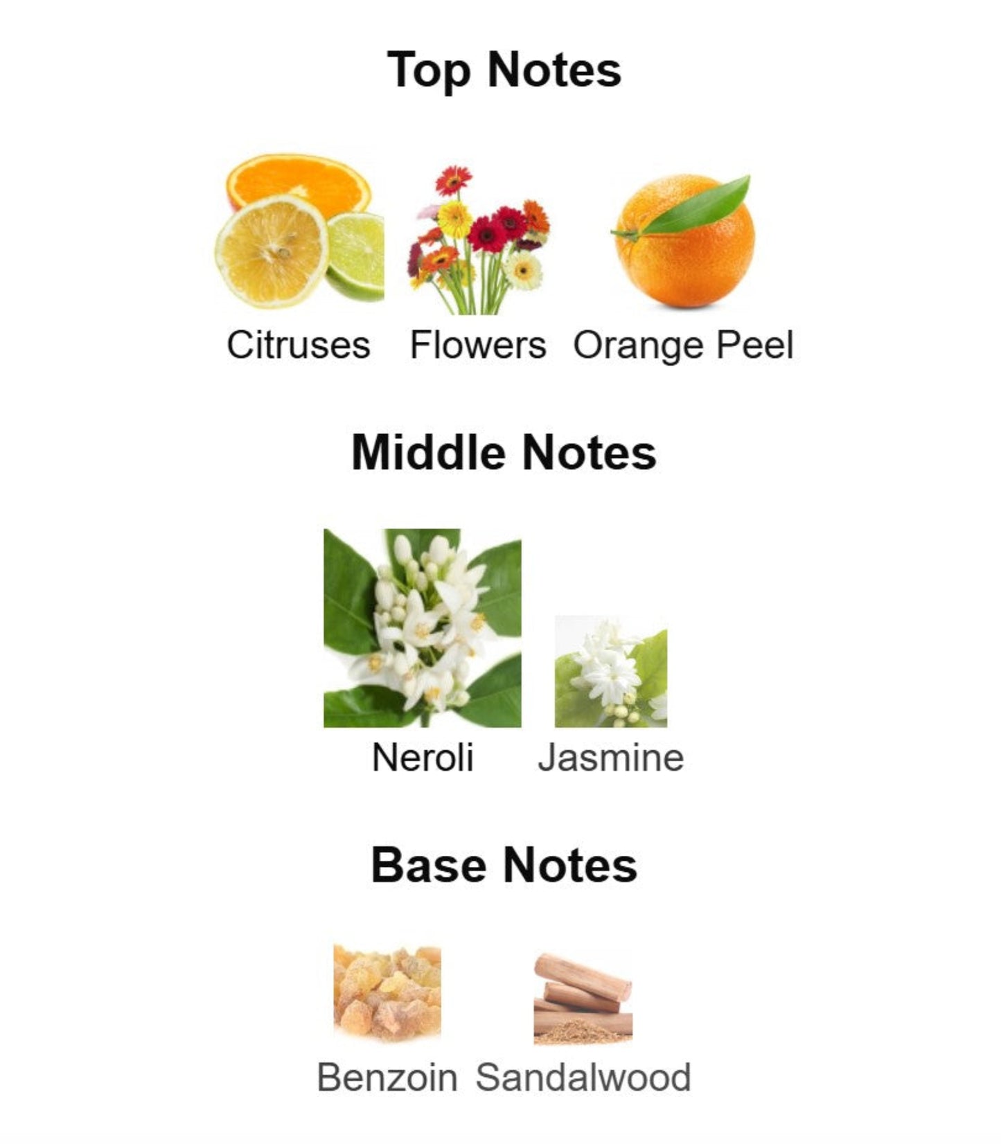 Chanel Paris Riviera - Unbranded Perfume Decant