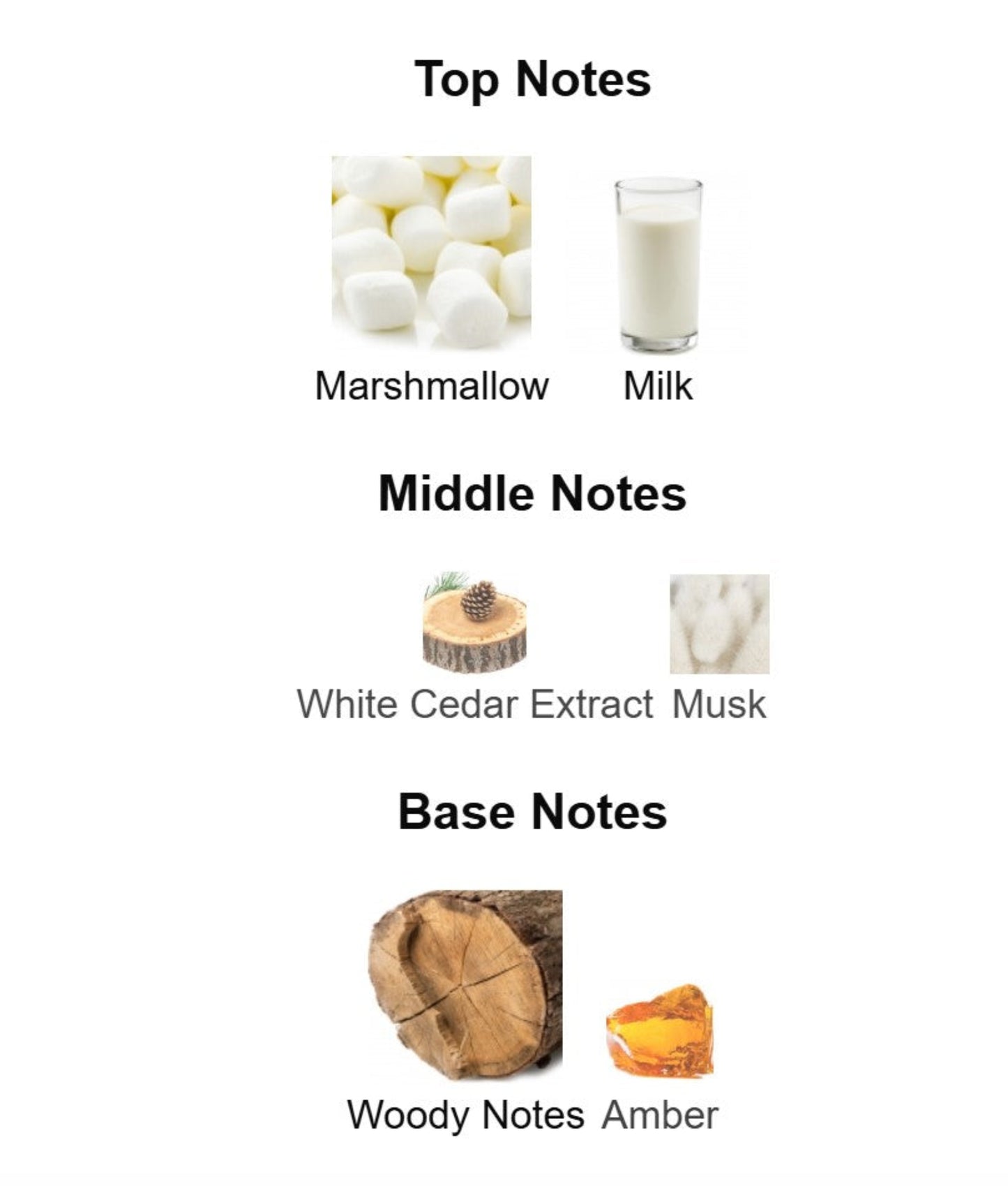 Commodity Milk+ Bold - Unbranded Perfume Decant