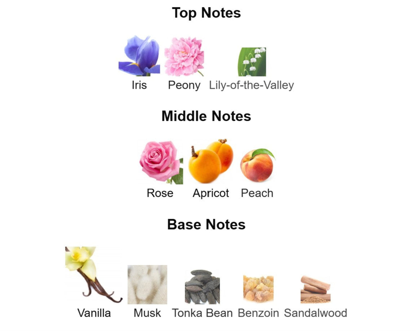 Dior Miss Dior Eau de Parfum - Unbranded Perfume Decant