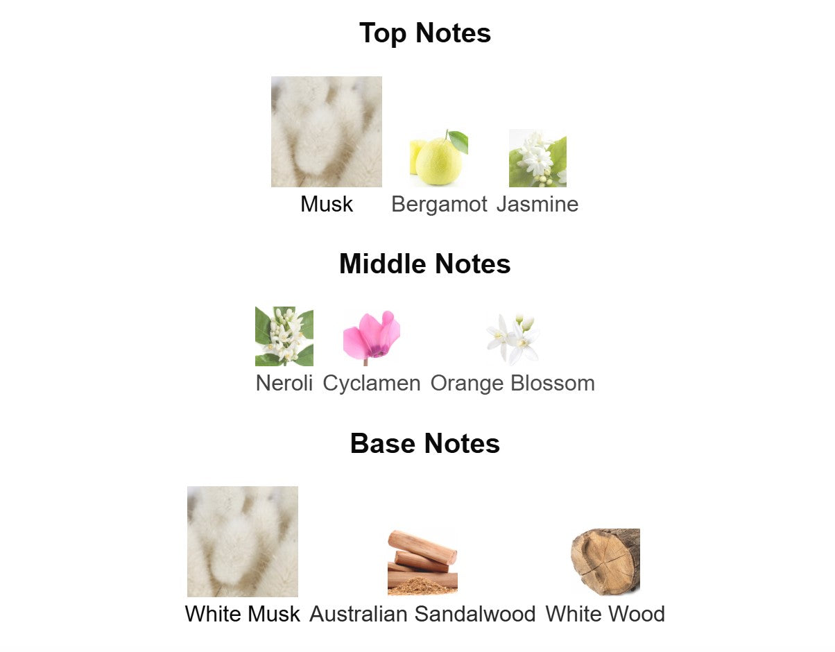 Phlur Missing Person - Unbranded Sample
