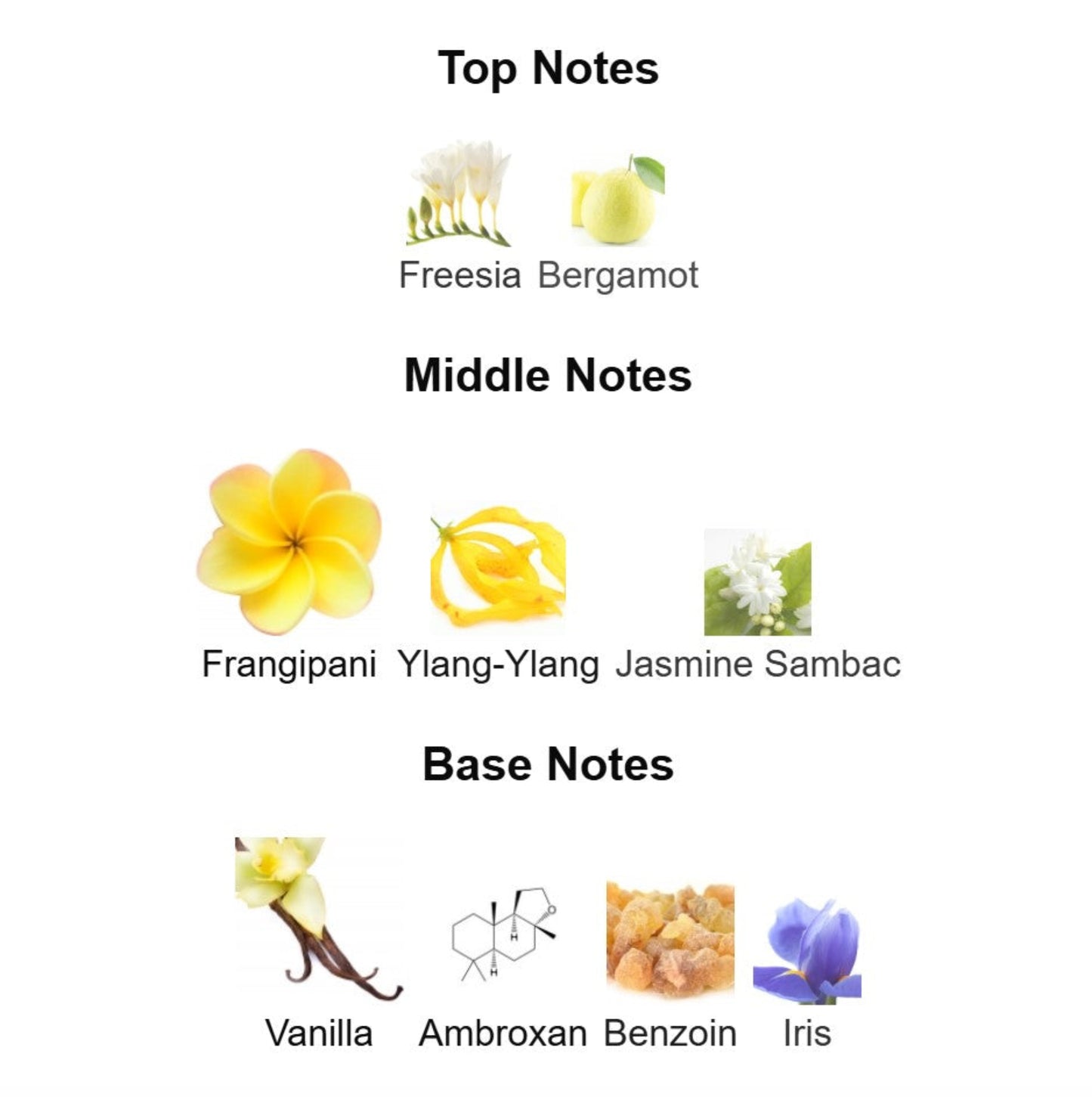 Armani Sun di Gioia - Unbranded Fragrance Decant