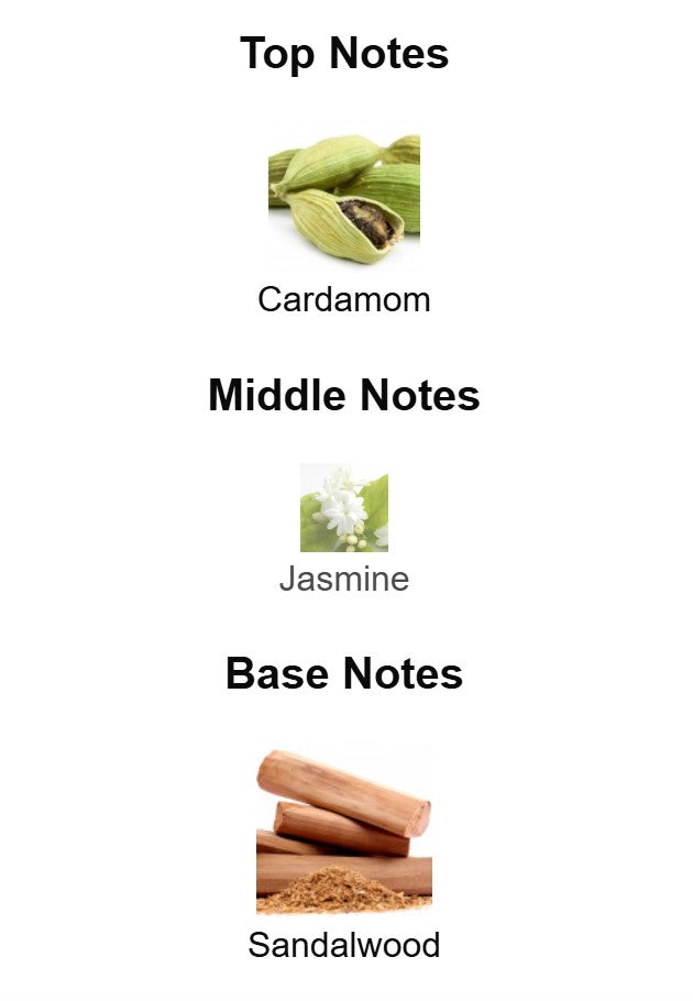 Zara Energetically New York - Unbranded Sample