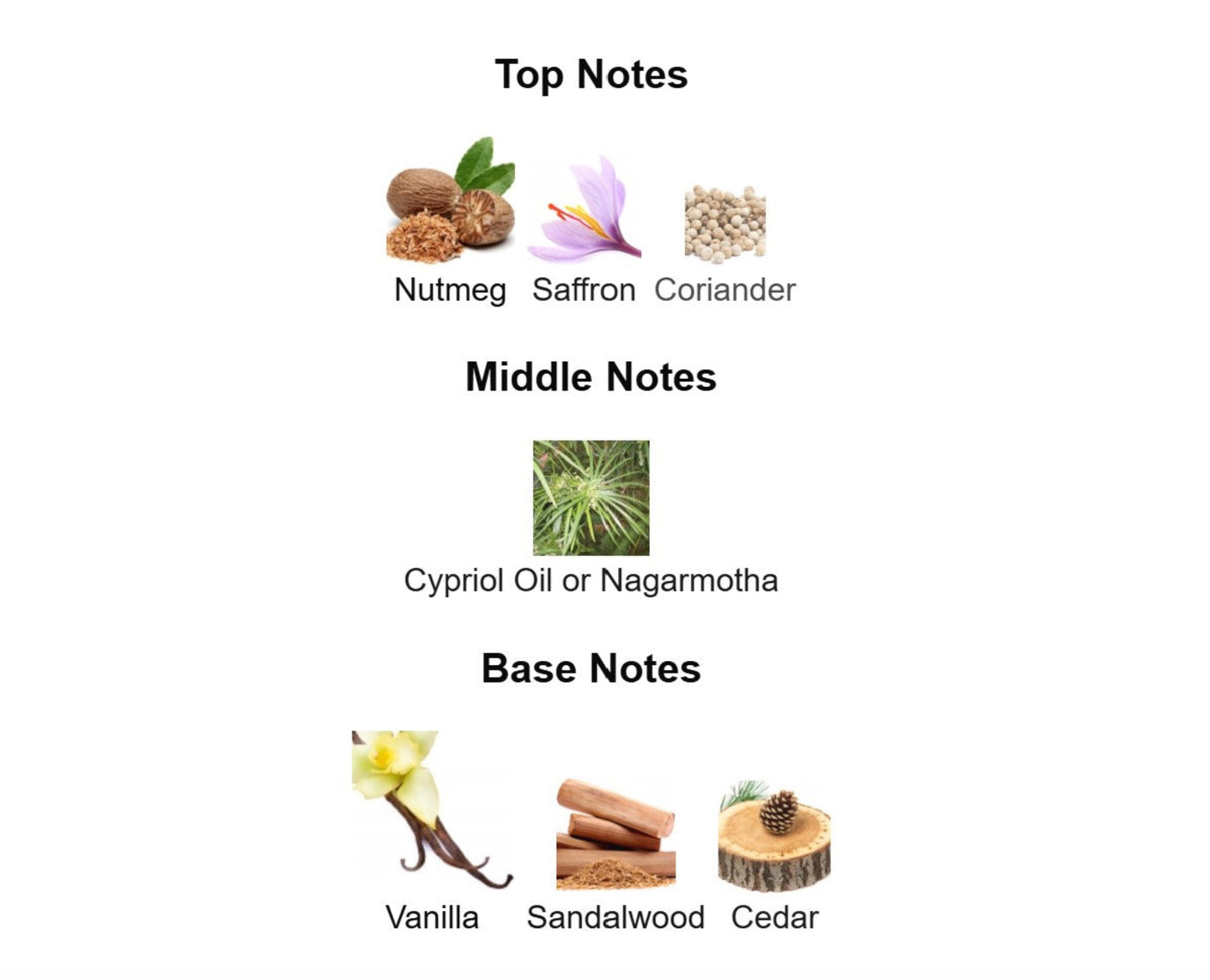 Penhaligon's Babylon - Unbranded Perfume Decant