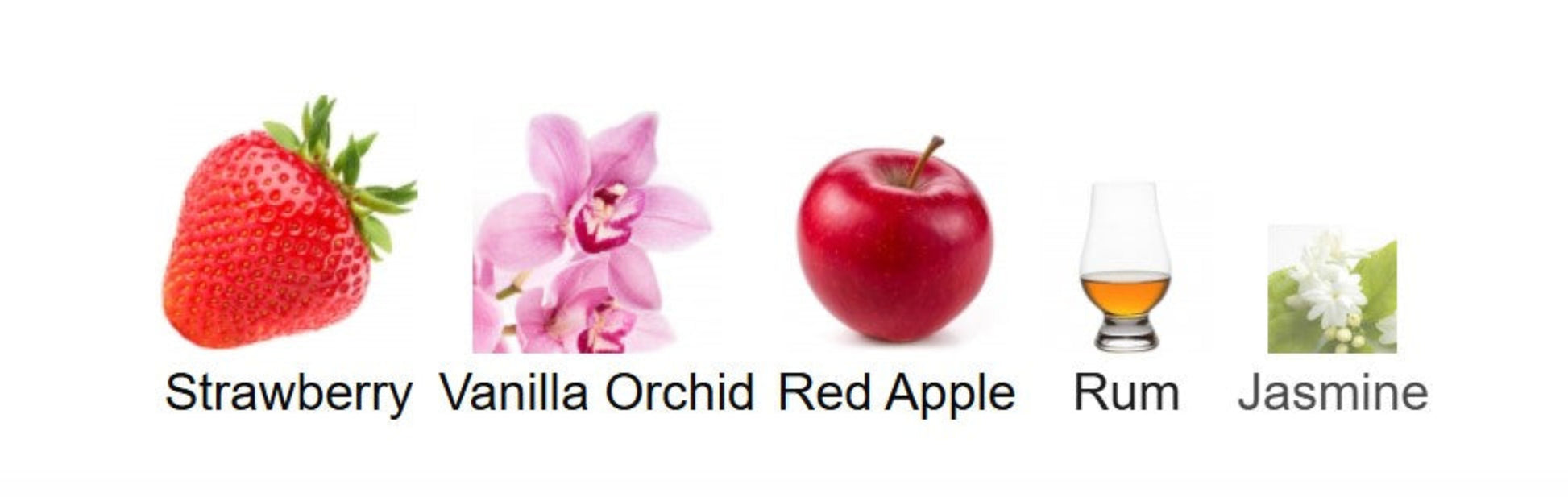 Confessions_of_a_Rebel_Bite_me Notes Set of icons representing strawberry, vanilla orchid, red apple, rum, and jasmine on a white background.