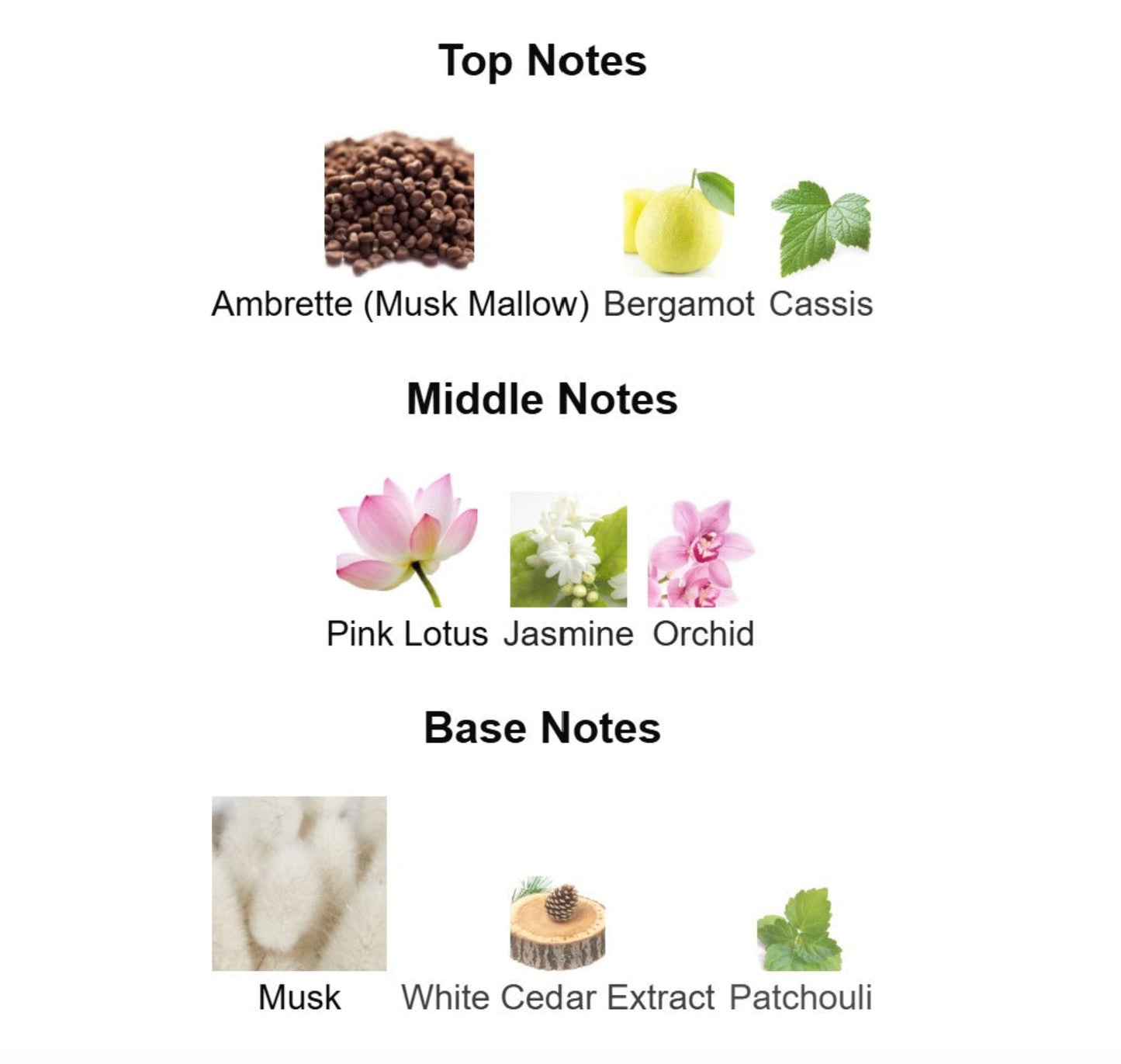 Ellis Brooklyn Myth Chart showing top, middle, and base notes of a fragrance with corresponding images and names.