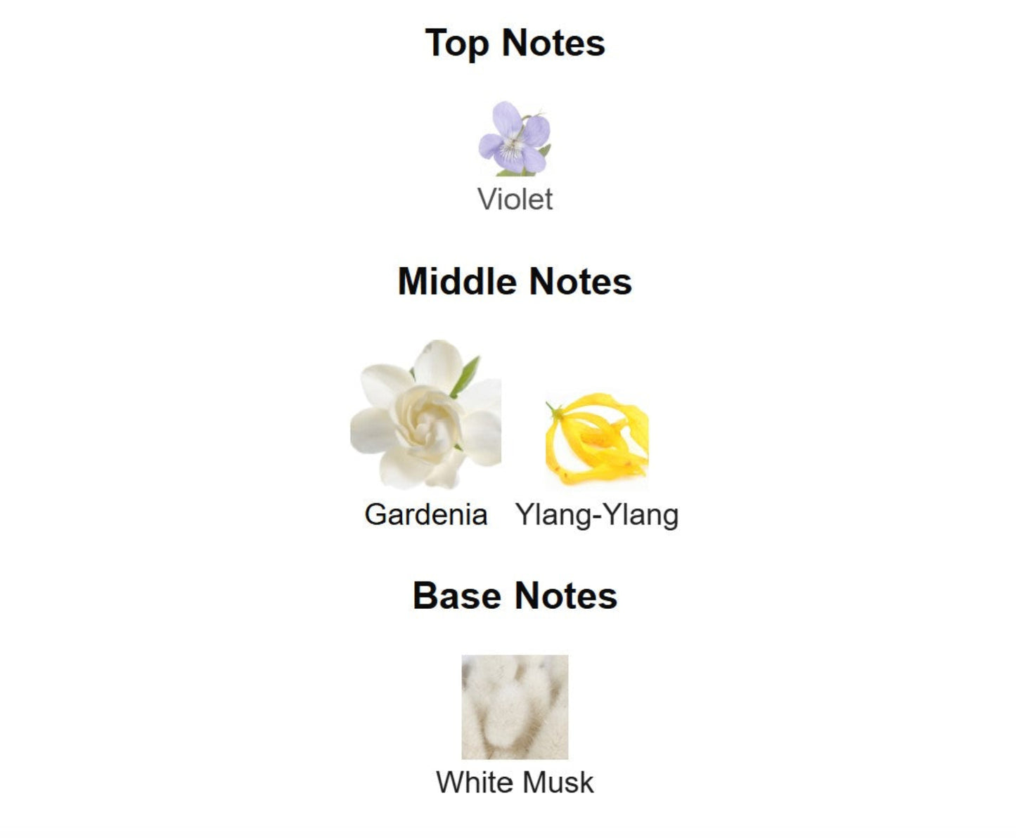 OUAI Rue St Honore - Unbranded Perfume Decant