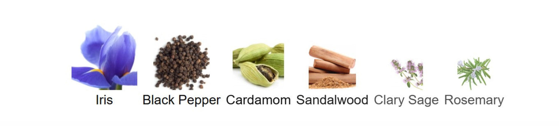 confessions of a rebel almost single notes Set of icons representing different herbs and spices with labels below.