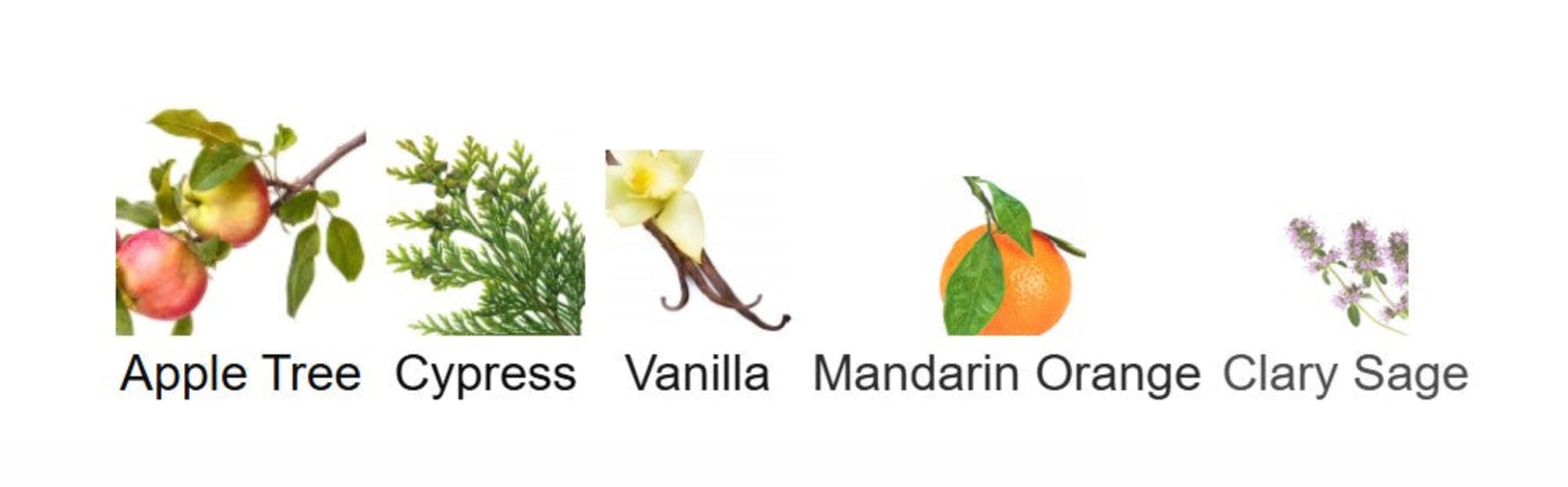 confessions of a rebel get a room notes Set of icons representing different scents with labels below each icon.