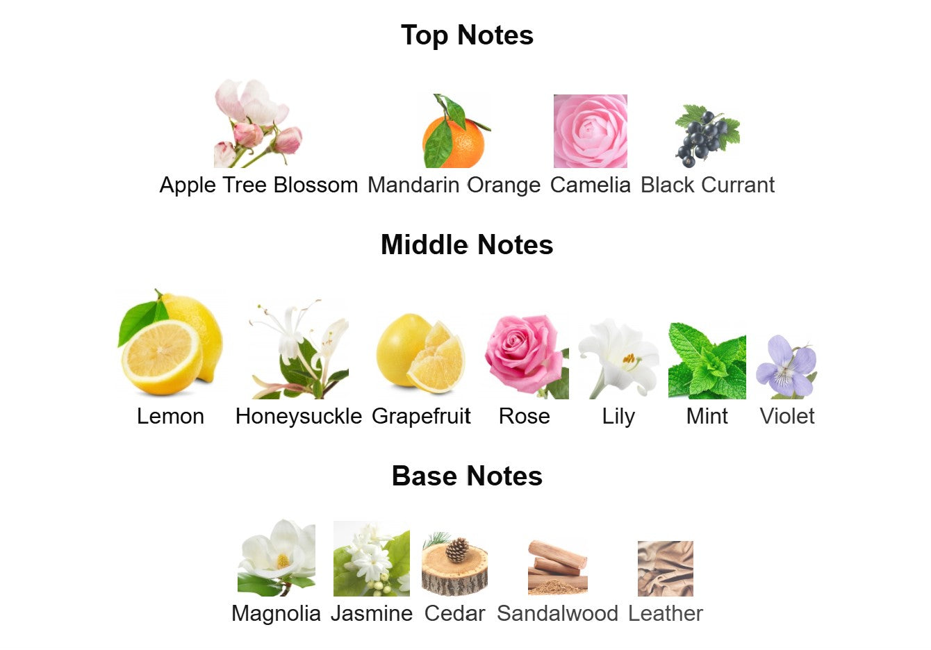 Tommy Hilfiger Tommy Girl - Unbranded Sample