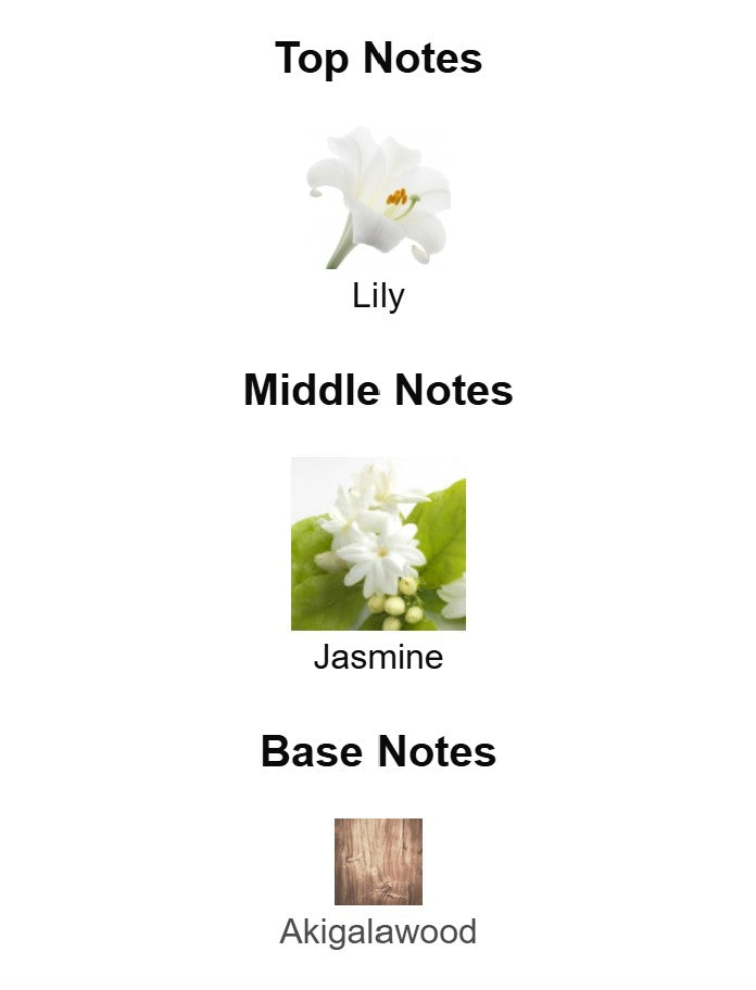 Zara Elegantly Tokyo - Unbranded Sample